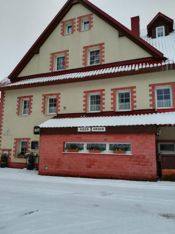 Penzion Erika Hotel Boží Dar Exterior foto